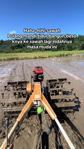 #fyp #petaniindonesia🇮🇩🇮🇩🇮🇩🌿🌿 #fypage 