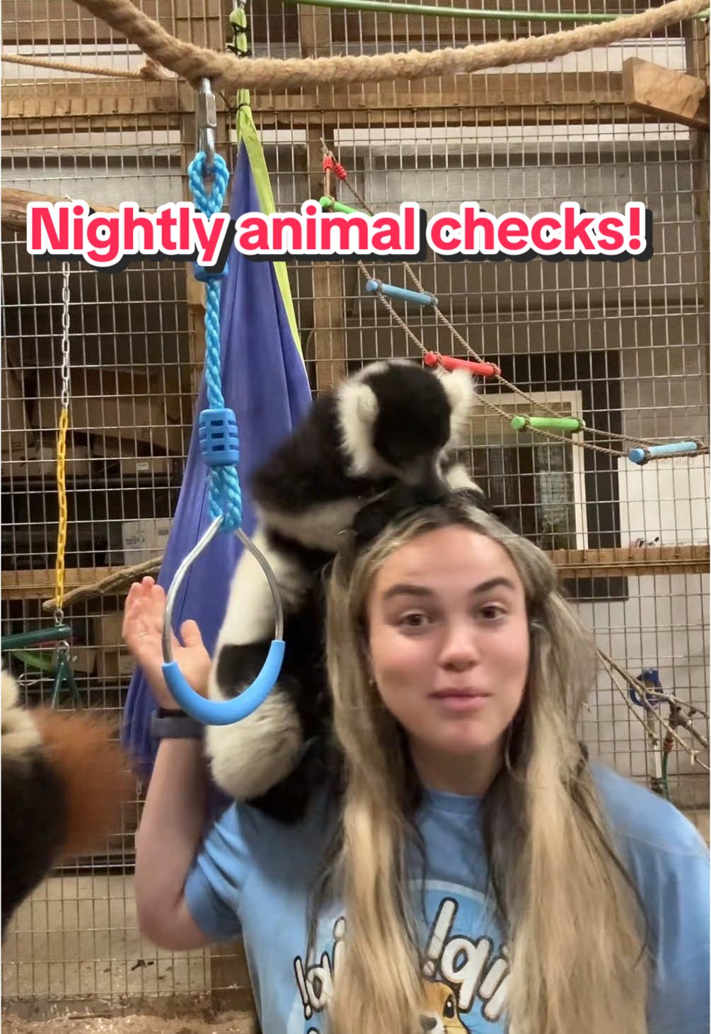 Let’s do animal checks! 