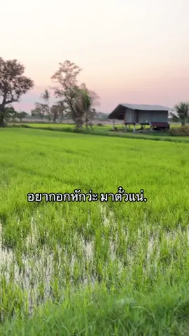 #ยืมลงสตอรี่ได้ #fyp 