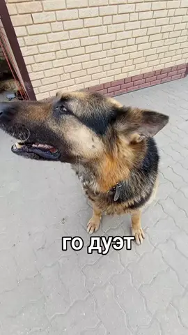 жду , буду отвечать в комментариях под ваши видео 