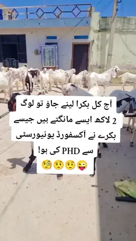 Ty hor ki yar#bakraeid #bakraeidspecial #10millionviews #dontunderreviewmyvideo #1000million #unfrezzmyaccount #foryou #vireltiktok #virelaccount2025 #funny #foryou #foryoupage #virel #foryoutrick #foryoupagee #1000million #dontunderreviewmyvideo #10millionviews#foryoureal 