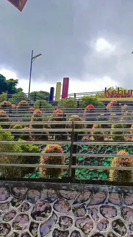 kebun raya Kendari #view #views #kebunraya #kendari #kebunkendari #fyp 
