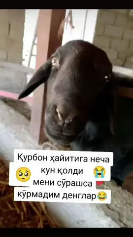 #🤣🤣🤣 #🤣🤣🤣🤣🤣🤣 