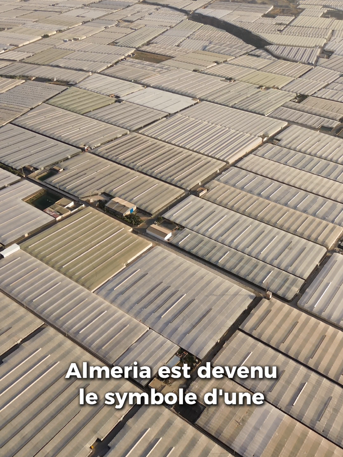Almería, au sud de l'Espagne, abrite une immense « mer de plastique » : des milliers d'hectares de serres qui nourrissent l'Europe grâce à une agriculture intensive sous plastique