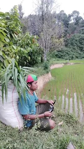 Cintaku emang berlebihan. gkgkgk..😎😎 #fyp #bismillahfyp  #vidioviral #komedi  #indonesia 