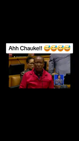 #fyp #malema #eff #parliamnet