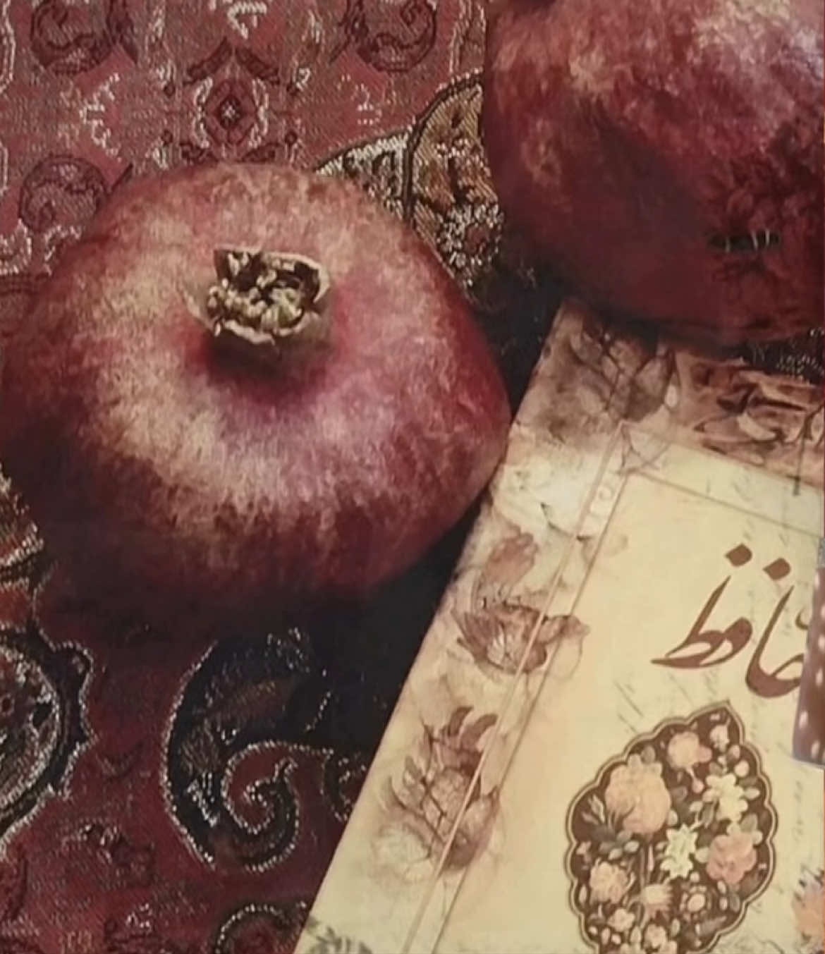 hanar <3 #pomegranate #pinterest #fairuz #moodboard #aesthetic #xybca #middleeast 