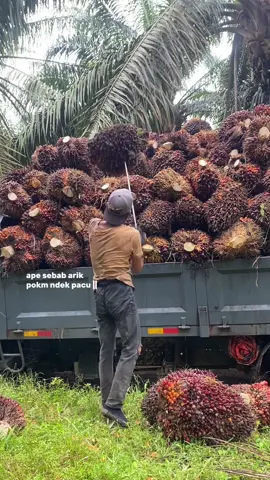 #CapCut #fyp #lod #buah 