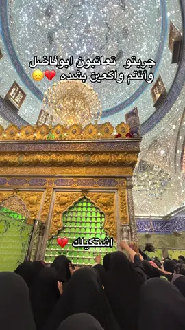 #ابوفاضل_العباس #شعب_الصيني_ماله_حل😂😂 