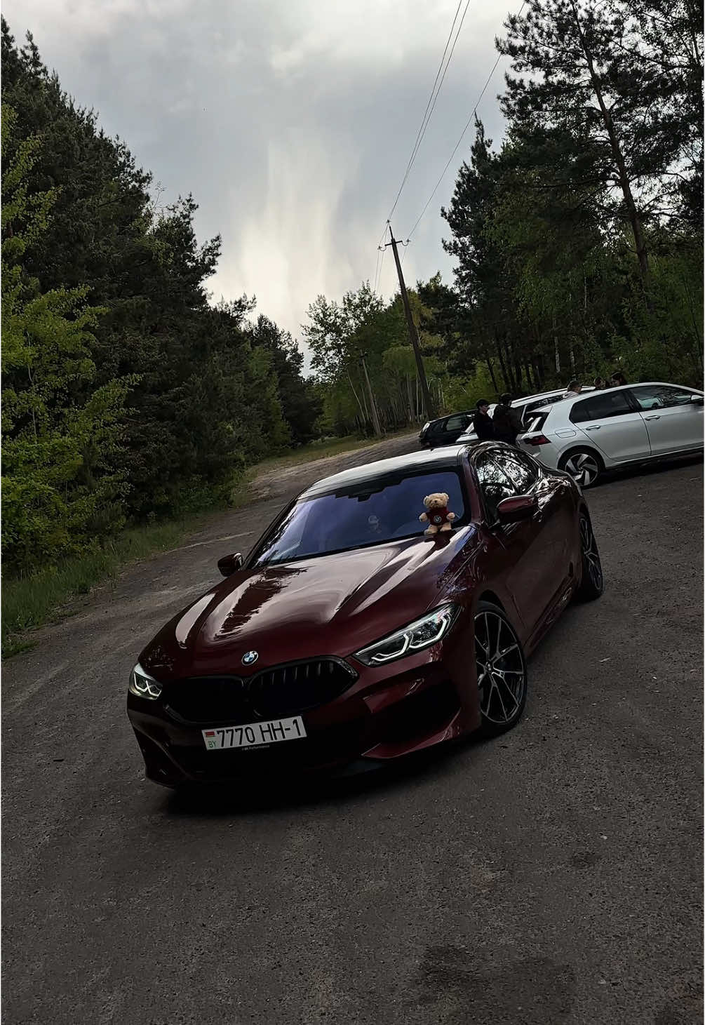 BMW M850i😍 Волк в овечьей шкуре 🔥 Inst: Panama._.6.3 and Panammkaa  #panama_gts #brest 