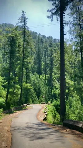 🙌#unfreezemyacount #foryou #naturelover #nature #naturevibes #village #murree #murreehills #murreeweather #fyp #fyppppppppppppppppppppppp #fypシ゚ 
