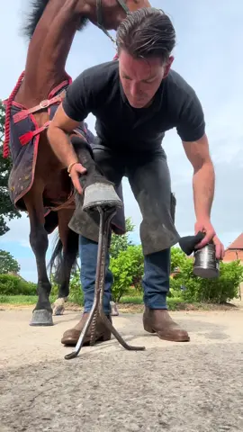 #farrier #farriers #horse #horses #tik_tok #equine #equestrian #happiness #farriersoftiktok #dressage #animalsoftiktok #happy #thirsday 