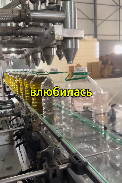 #рекомендации#истории #сосмыслом  #невыдуманныеистории  факты из средневековья о которых вы не знали  #историиизжизни #перепискапранк#реальныеистории