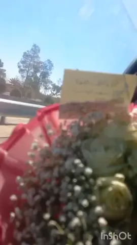 الحمدلله على  سلامه نورت سوريا خالتوو ❤😌