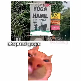 sabarrr nanti berbuah ayam goyeng😿😿 #memekucingofficial #meme #kucingmeme #memekucinglucu #memekucing #memekucingofficial #fyp #fyppppppppppppppppppppppp #fy 