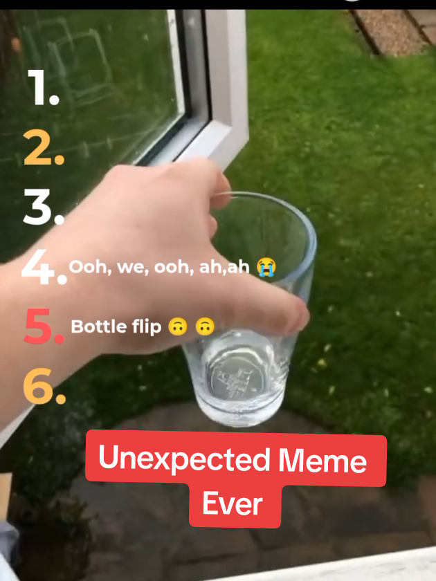 Best Unexpected Meme 😱 #tiktok #fyp #bottleflip #interview 
