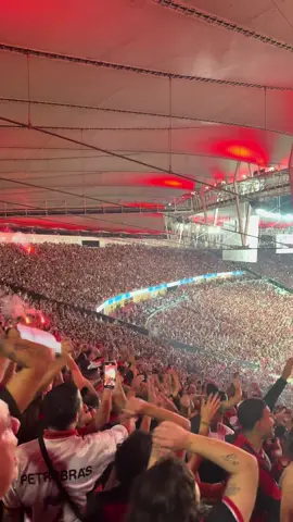 Torcida do Flamengo incendiando  a arquibancada no Maracanã  #flamengo #libertadores #maracana #torcidadoflamengo 