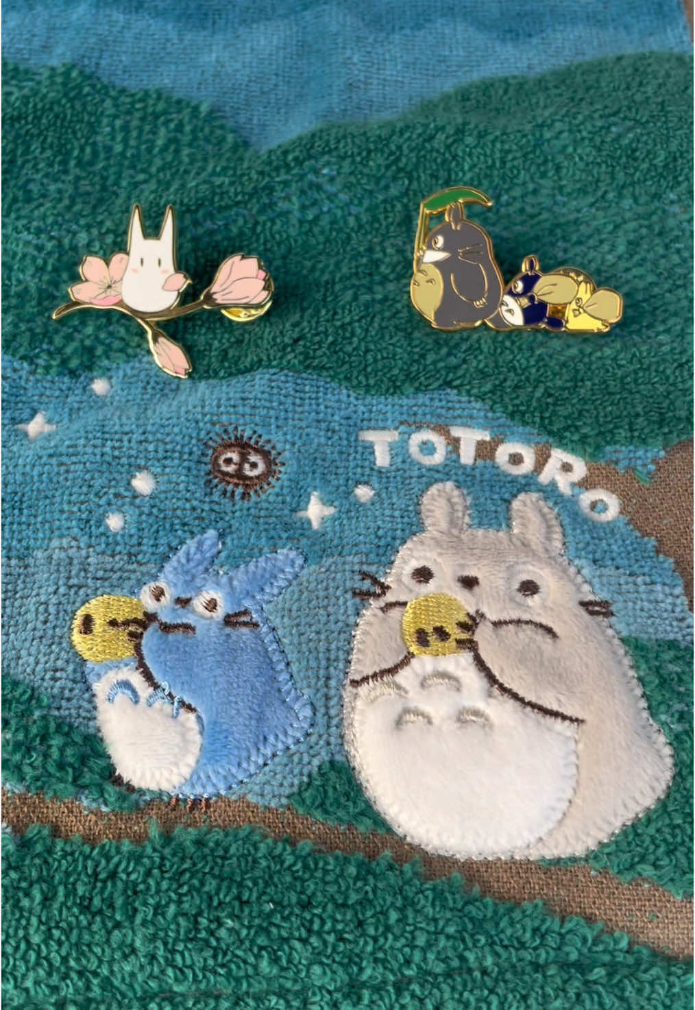 Those pins are so pretty #totoro 