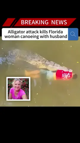 Alligator attack kills Florida woman canoeing with husband#news #fyp #breakingnews #foryou#us #woman #alligator 