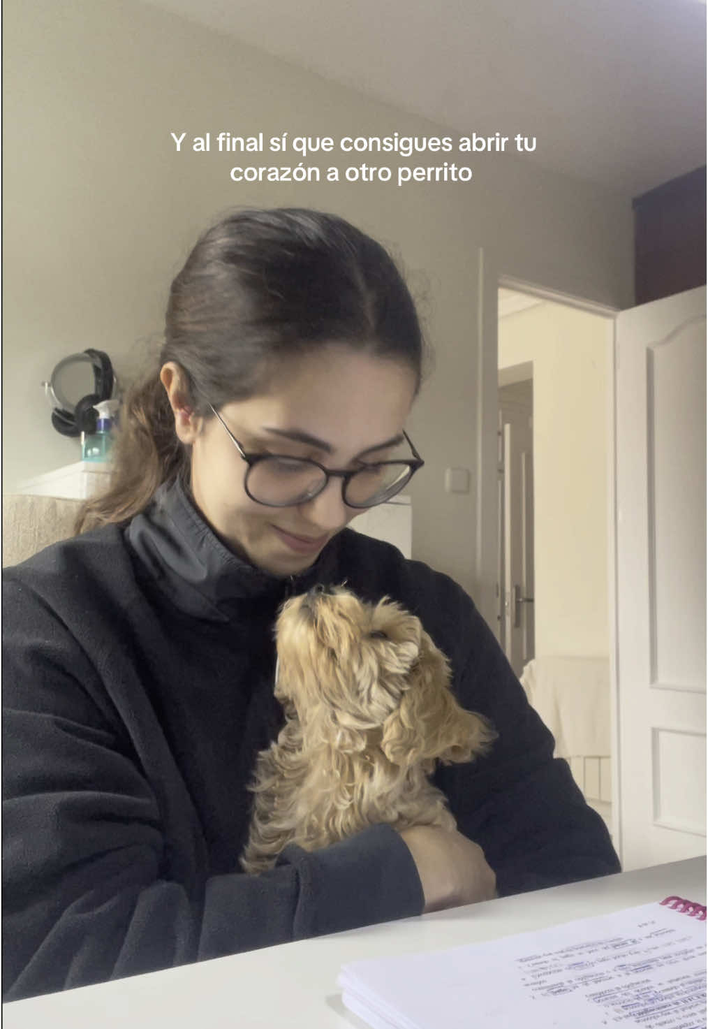 ❤️  #maltipoo #maltipoosoftiktok 
