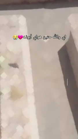 #ياكسرتي_بيوم_الكالو_ابوج_مات💔⚰️😭 #يتيمة_الأب_هديت_حيلي_بموتك_يابويـه💔😭 #فاكده_ابوهاا😔🖤الحزن💔عنواني💔ــہہــــــــــہہـ👈⚰️،، 