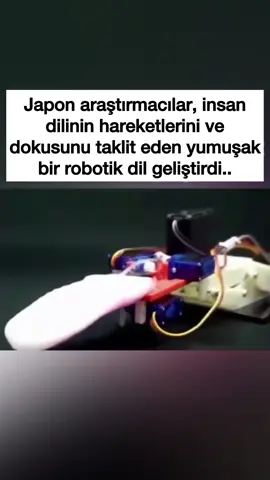 Siz ne düşünüyorsunuz bu konu hakkında ? için ; 🌕 @ilgincbilgisokagi 🌕 🌕 @ilgincbilgisokagi 🌕 🌕 @ilgincbilgisokagi 🌕 🌕 @ilgincbilgisokagi 🌕 🌕 @ilgincbilgisokagi 🌕 takipte kalın sağlıcakla kalın.  #fy#fyppppppppppppppppppppppp#fypage#fypp#fyppp#trend#keşfetteyiz #keşfett#keşfetedüş #tiktok#keşfetbeni#trendingvideo#trendingsong#video#videoviral#viralvideo#viraltiktok#viral_video#video#keşfet#keşfetteyizzz#keşfetbeniöneçıkar 