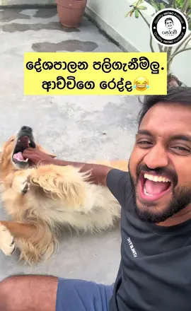 කෝ මේ පොහොට්ටු බයියෝ🤣🤣 #සෝමේ #funnyvideos #සෝමේ #quality_හෙටකට_political #fypシ゚ #fyppppppppppppppppppppppp #fyp #funnyvideos #politics #viral_video 