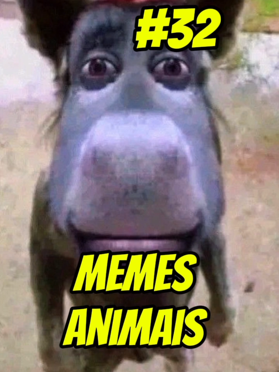 #memes #animaisengraçados #humor #comedia #animais