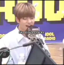 #Straykids #voicecrack #skzvoicecracks #fyp #goviral #funnytiktok 