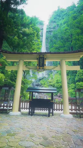 那智の滝 Nachi Falls Wakayama 世界遺産　落差日本一の滝 🎥 @tk__films  #日本 #日本の風景 #夏  #일본 #일본여행  #waterfalls #japan #shrine #temple #japantravel #japantrip #tripjapan