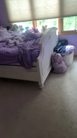 Good morning! #bunnygirl #bunnyhouse #lionheadbunny #rabbitsoftiktok #rabbittok #bunniesoftiktok #bunnytok #girlbunny #lionheadrabbit #bunnylove #bunnytok 