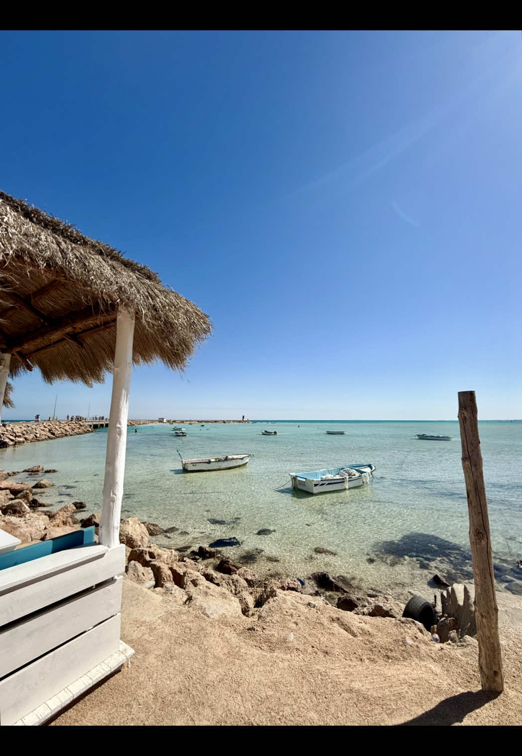 Le dilemme en vacances : «  je ramène quoi et à qui? »  Est-ce que ça va passer dans la valise? J’ai oublié personne ? ##humour #sun #funny #happy #tunisia #djerba #djerba🇹🇳🇹🇳🇹🇳 #djerba_tunisia #island #hollydays #travellife 