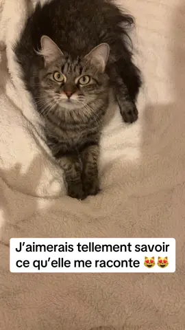 Quelqu’un a la traduction ? 😂. #pourtoii #tik_tok #fyp #chat 