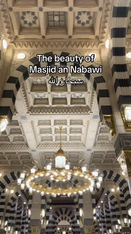 Oh to go back and be praying with peace in our beloved prophet Muhammad SAW mosque #umrah #masjidnabawi #muslim #nabawi #madina #peace #prophet #islamic_video #islamic #muslimah #madinasharif #saudiarabia🇸🇦 
