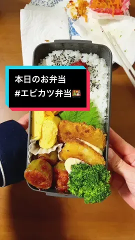 今日はエビカツ弁当です🍱お弁当は作りつつも投稿がだいぶ久しぶりになりました🥲今日はエビカツとピーマンの肉詰めを入れていつもよりちょっぴり豪華に仕上げたつもりです⭐️#お弁当 #お弁当おかず #お弁当記録 #foodtiktok #lunchbox #lunch #food 