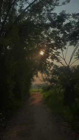 เพลง Pib Tshiab Tshiab  - Yiv Yaj -#เทรนด์วันนี้ #เพลงม้ง #เพลงม้งแปลไทย #nkaujkhosiab 