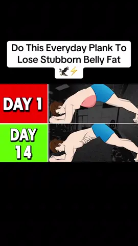 Do This Everyday Plank To Lose Stubborn Belly Fat  🦅⚡️#musculation #muscle #bellyfat #bellyfatworkout #abs #sixpack #absworkout 