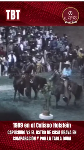 😱 ¡Qué época! Feria de Asdepaso 1989, Coliseo Holstein… 👏🏻 🐴✨En jueves de #TBT recordamos hoy a dos gigantes del paso fino colombiano frente a frente, en una de las comparaciones más recordadas. 🔥 💥 Técnica, brío, elegancia… ¡Una final de esas que hacen historia! 🎙️ ¿Alguien aquí vivió esta época? ¿Qué recuerdas de las ferias de los años 80’s y 90’s? 🤩 ¡Comenta tus experiencias y revive esa emoción con nosotros! 👇 📲Comparte este video con tus amig@s para que disfruten de este recuerdo también 😁 #viveapasofino #aprendedelccc #pasofinocolombiano #trochapuracolombiana #trochaygalopecolombiano #troteygalopecolombiano #exposicionequinagradoa #exposicionequinagradob #campeonjoven #caballoscampeones