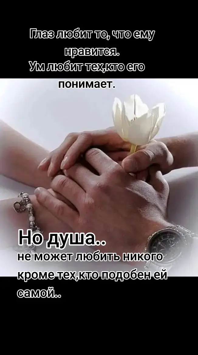 #чувства#выбор#судьба