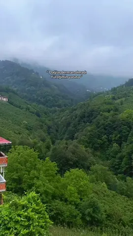 #karadeniz #kuzeyyıldızı #kesfet 