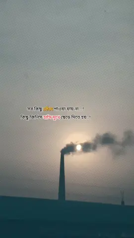 সব কিছু কেঁদে পাওয়া যায় না...! কিছু জিনিস হাসি মুখে ছেড়ে দিতে হয়.. 🥹 .. .. #tiktok #foryou #everyone #viralvideo @TikTok @For You 