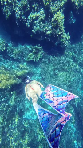 Muốn làm nàng tiên cá mà sợ có người câu.🥴 #freediving #phuquyisland #beach #xuhuong #viral 🌊🧜‍♀️