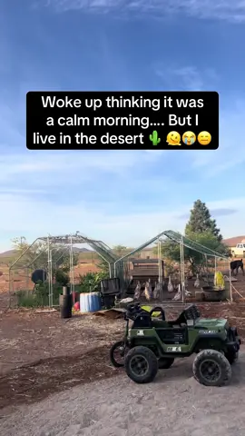 Never a dull moment. For educational purposes… this is why desert farming is so difficult. No rain. No grass. High predator population everywhere. Thankful the ducks were safe last night, thanks to the dogs. #fyp #foryou #foryoupage #farmtok #farmlife #arizona #arizonafarm #canecorso #canecorsoitaliano #happydog #workingdog #workingcanecorso #viral #trending #coyotes #ducks #ducksoftiktok #homestead #homesteading #creatorsearchinsights #farmingfamily 