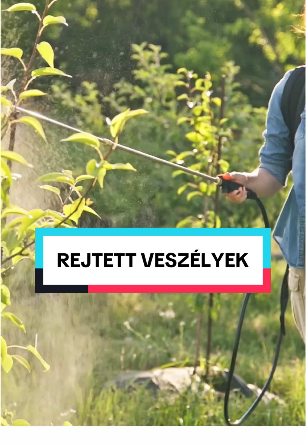 🌱 Te hogyan védekezel a kertedet szennyező vegyszerek ellen? 🛡️🌿
 Írd meg kommentben! ✍️💬 #magyarzold #MZ #glifozát #környezetszennyezés #egészségtudatosság #tudatosvásárlás #zöldjövő #élelmiszerbiztonság #környezetvédelem #fenntarthatóság #newfinds 