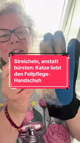Dieser Fellpflege Handschuh ist Goldwert für meine Haustiere. Speziell bei dem Kater, denn er liebt es damit gestreichelt zu werden. Man hört ihn, denke ich auch schnurren im Video. 🥹 #tiktokshopfinds #tiktokshopdeutschland #summervibes 