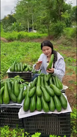 #creatorsearchinsights#happy#fyp#asmr#fruit 