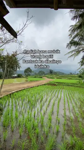 🥷🏿 #cubolahpikiadekuda #hancuarasopicayo #minangviraltiktok #storyminang 