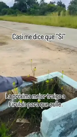 Mejor me hubiera llevado a firulais  #fypシ゚ #viral #firulais #amor #humor #siganmeeee 