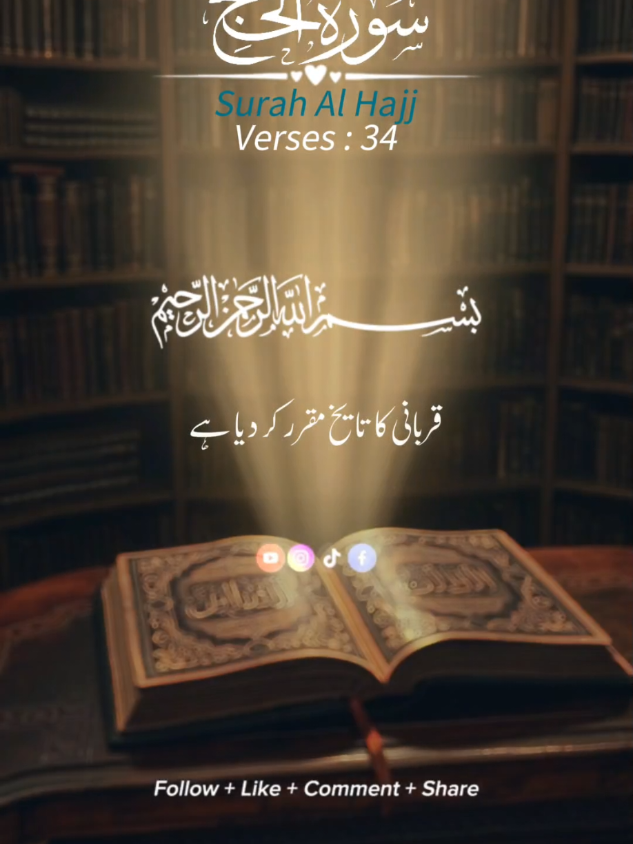 #creatorsearchinsights #CapCut #foruyou #islamic_video #foruyou #tik_tok #VoiceEffects #viral_video #foryoupage❤️ #fyp #dúo 