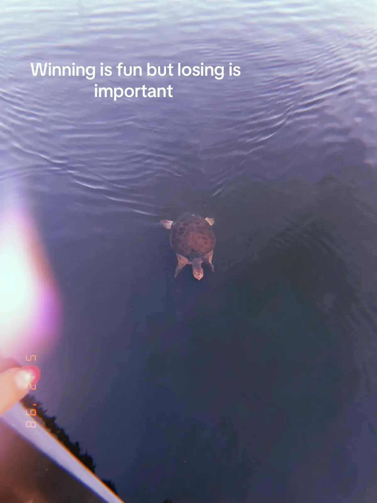 #fail #win #grow #viral #fypシ #reposting #trending #fyp #real #famous 